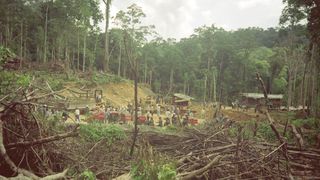더 보르네오 케이스 The Borneo Case Photo