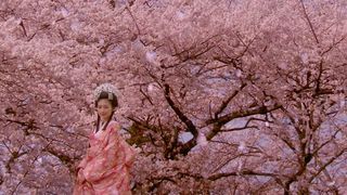 프린세스 사쿠라 Princess Sakura : Forbidden Pleasure 桜姫 Foto