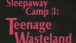 血腥死亡營3：貧瘠荒地 Sleepaway Camp III: Teenage Wasteland Foto