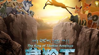 장령왕지설역정령 The King of Tibetan Antelope劇照