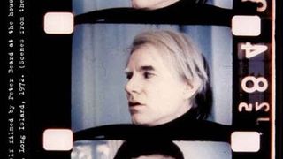 씬 프롬 더 라이프 오브 앤디 워홀: 프렌드쉽스 앤드 인터섹션스 Scenes from the Life of Andy Warhol: Friendships and Intersections 사진