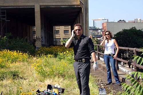 犯罪現場調查：紐約 第五季 CSI:NY รูปภาพ
