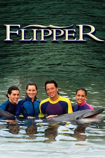 플리퍼: 바다의 친구 The New Adventures of Flipper: Pilot, Sharks劇照