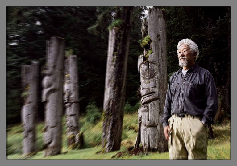 포스 오브 네이처: 더 데이빗 스즈키 무비 Force of Nature: The David Suzuki Movie 사진