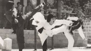 당산비권 Tangsan martial art, 唐山秘券 写真