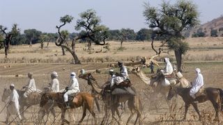 다르푸르 나우 Darfur Now รูปภาพ
