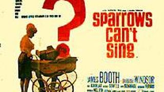 Sparrows Can\'t Sing Can\'t Sing劇照