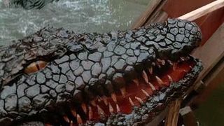 殺人鱷魚潭 Killer Crocodile劇照