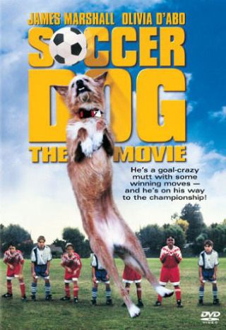 사커 독 Soccer Dog: The Movie Photo