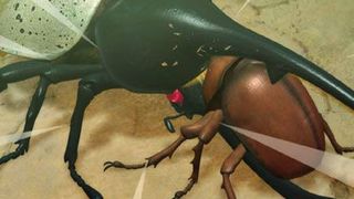 무시킹 - 러브 앤드 베리 甲虫王者ムシキング スーパーバトルムービー ～闇の改造甲虫～ รูปภาพ