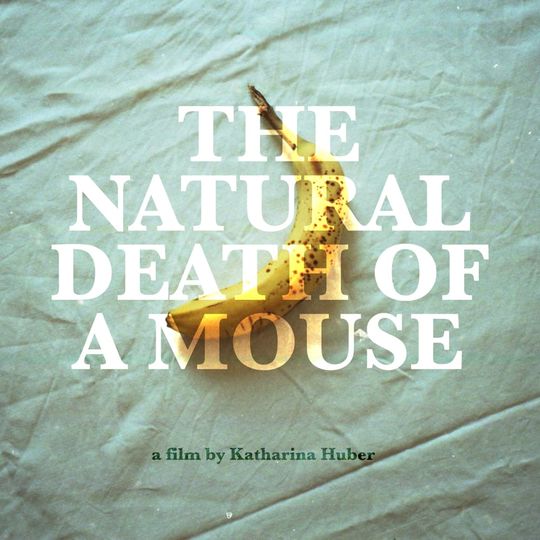 내추럴 데스 오브 어 마우스 The Natural Death of a Mouse 写真