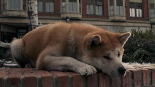 忠犬八公的故事 Hachi: A Dog\\\'s Tale รูปภาพ