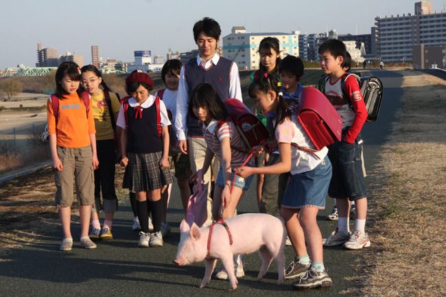 P짱은 내친구 School Days with a Pig, ブタがいた教室劇照
