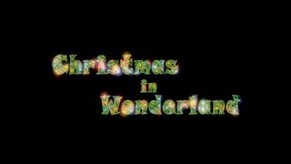 神奇的聖誕之旅 Christmas in Wonderland劇照