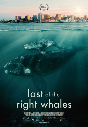 라스트 오브 더 라이트 웨일즈 Last of the Right Whales 사진