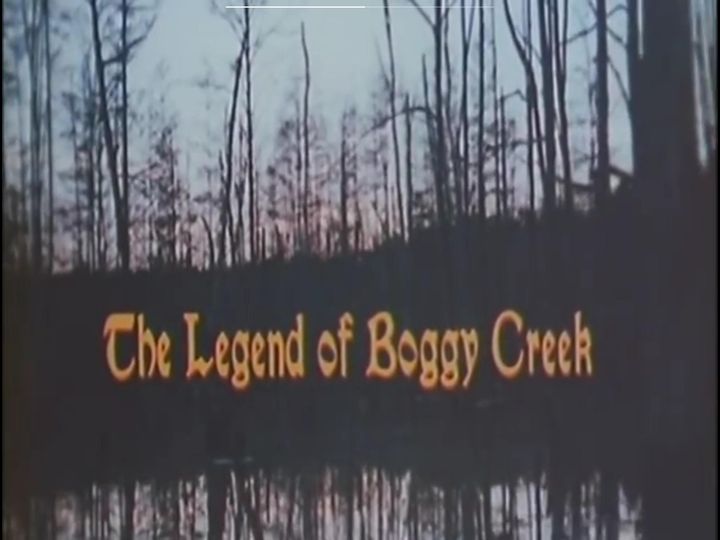 沼澤地傳奇 The Legend of Boggy Creek劇照