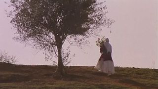 橄欖樹下的情人 THROUGH THE OLIVE TREES Photo