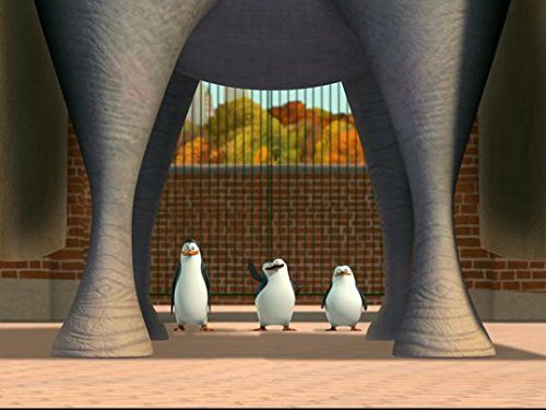 馬達加斯加企鵝 第一季 The Penguins of Madagascar劇照