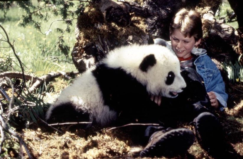 小貓熊歷險記 The Amazing Panda Adventure劇照