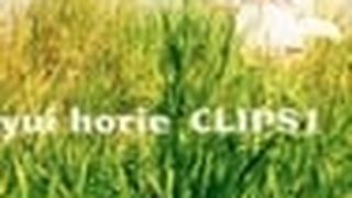 yui horie CLIPS 1 堀江由子 CLIPS 1 รูปภาพ