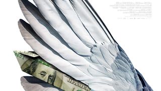 밀리언 달러 피전스 Million Dollar Pigeons Photo