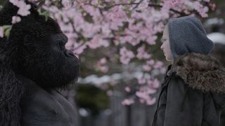 ảnh 혹성탈출: 종의 전쟁 War for the Planet of the Apes