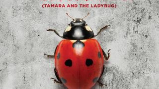 타마라 앤드 더 레이디버그 Tamara and the Ladybug Foto