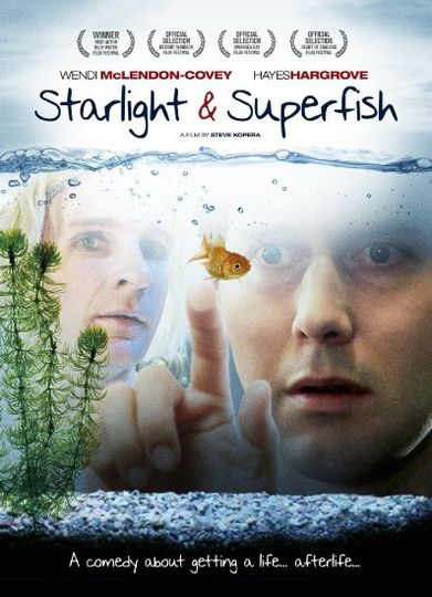 스타라이트 & 슈퍼피쉬 Starlight & Superfish 사진