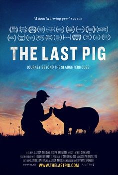마지막 돼지 The Last Pig劇照