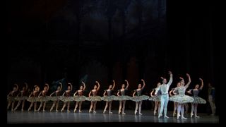 라 당스 La Danse: The Paris Opera Ballet La danse - Le ballet de l\'Opéra de Paris Foto