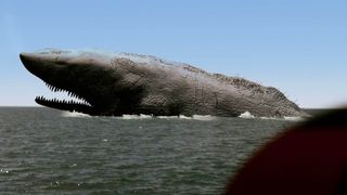 퍼시픽 모비딕 2010: Moby Dick Photo