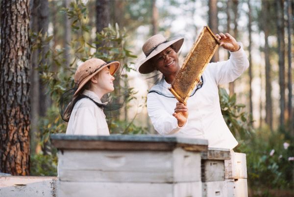 蜜蜂的祕密生活 The Secret Life of Bees Photo
