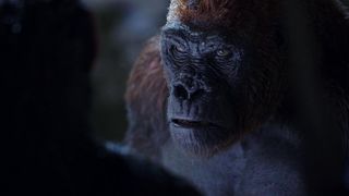 猩球崛起3：终极之战 War for the Planet of the Apes 写真
