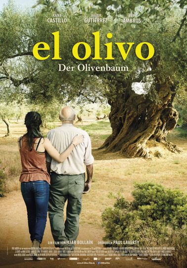 더 올리브 트리 The Olive Tree 사진