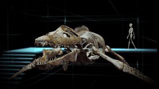 雷克斯海3D:史前世界 Sea Rex 3D: Journey to a Prehistoric World 写真