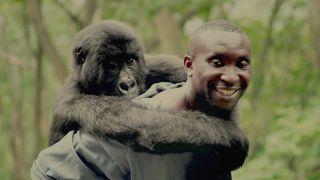 維龍加 Virunga Photo