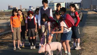 P짱은 내친구 School Days with a Pig, ブタがいた教室 Foto