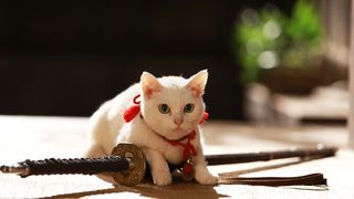 고양이 사무라이 2 Samurai Cat 2劇照