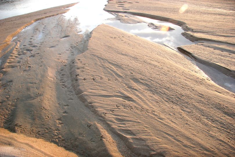 모래가 흐르는 강 Following Sand River Foto