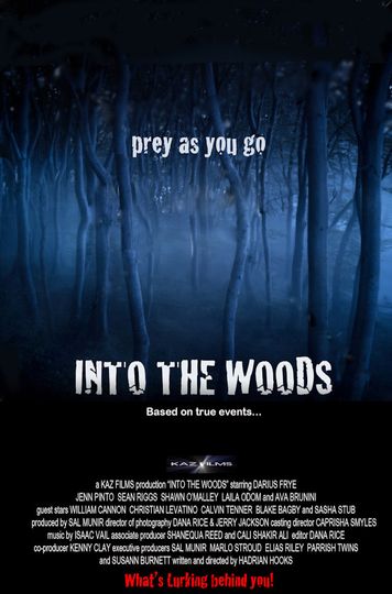 Into the Woods the Woods รูปภาพ