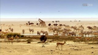 BBC：非洲 Africa Photo