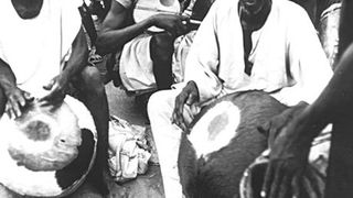투루와 비티 Tourou and Bitti: The Drums of the Past, Tourou et Bitti, les tambours d\'avant劇照