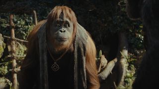猿人爭霸戰：猩凶帝國  Kingdom of the Planet of the Apes รูปภาพ