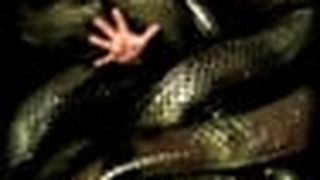 大蟒蛇2：血蘭花 Anacondas: The Hunt for the Blood Orchid劇照