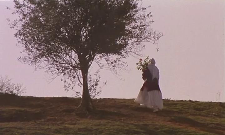 橄欖樹下的情人 THROUGH THE OLIVE TREES 사진