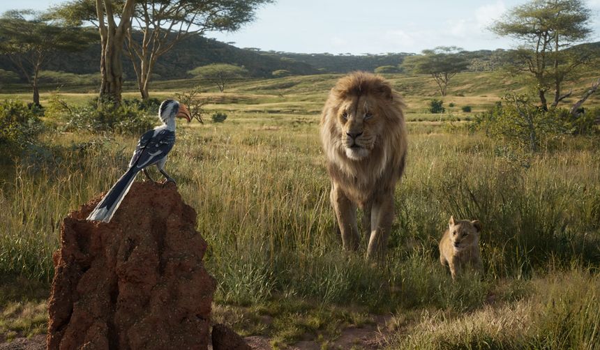 獅子王 3D Lion King(2011)劇照