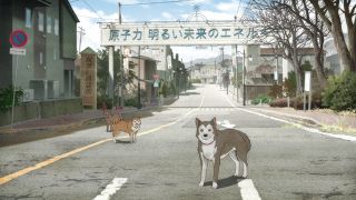 とんがり頭のごん太 2つの名前を生きた福島被災犬の物語 Foto