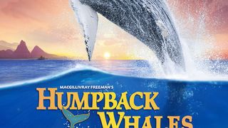 험프백 웨일스 Humpback Whales劇照