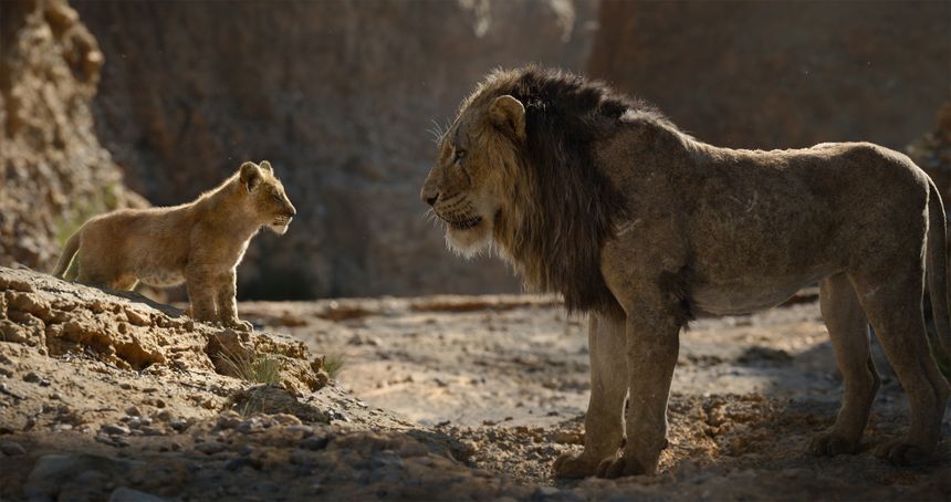 獅子王 3D Lion King(2011)劇照
