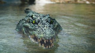거악도 Crocodile Island รูปภาพ